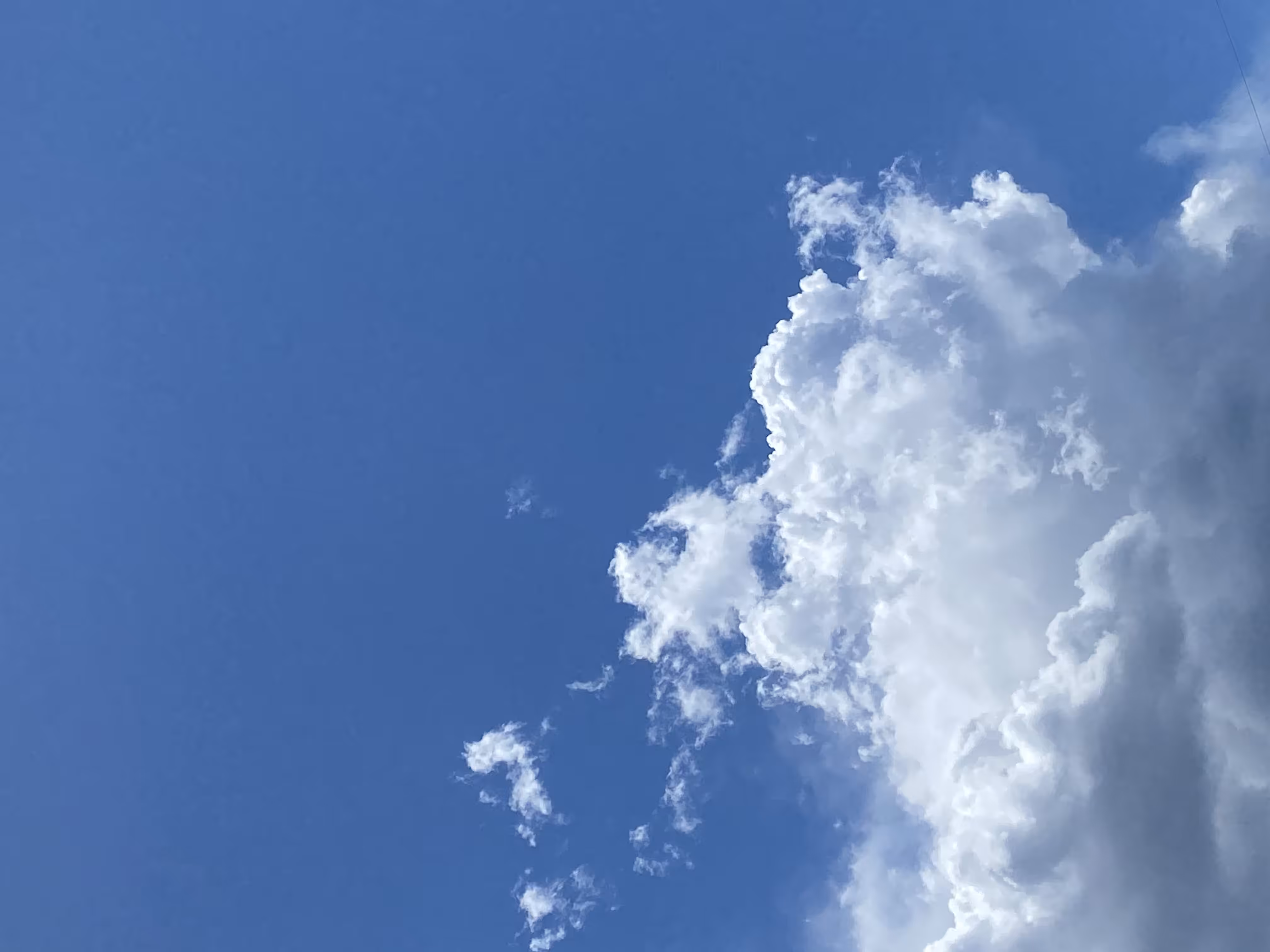 Partly Lifted