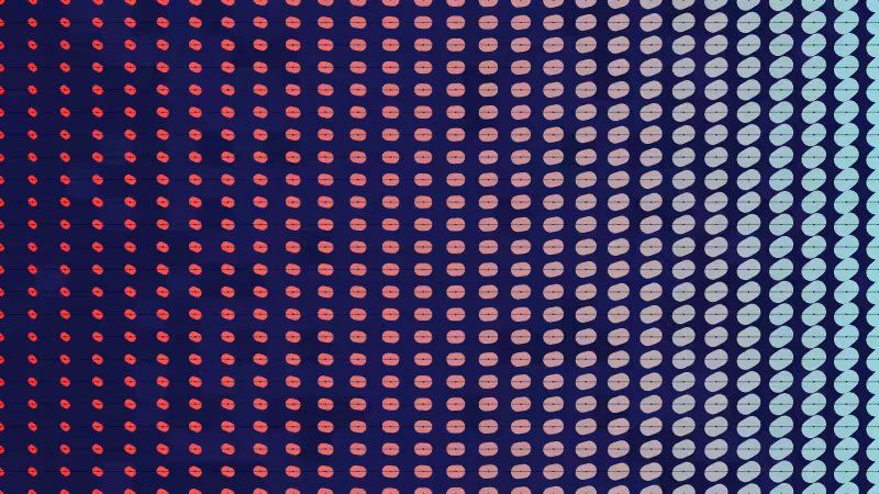 Polka #38