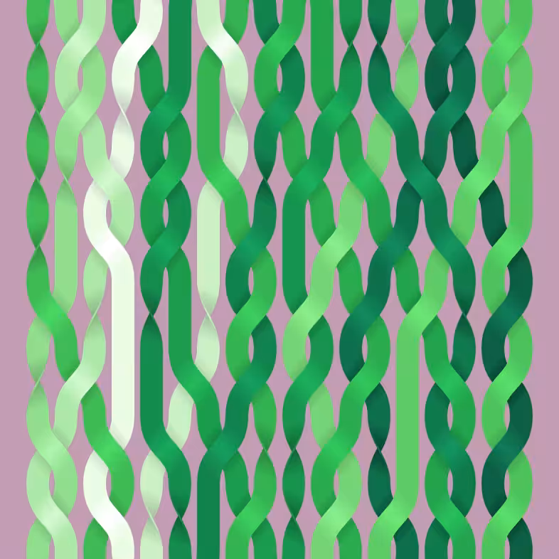 Endless Braids #33