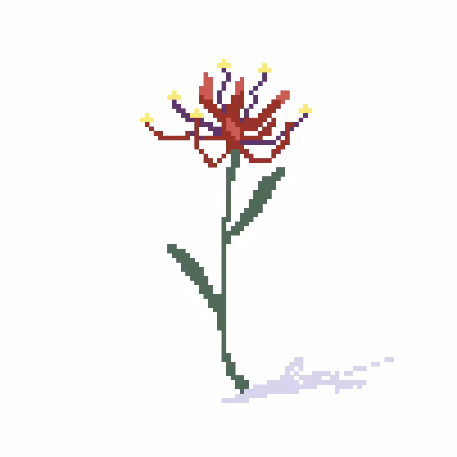 Lycoris Radiata