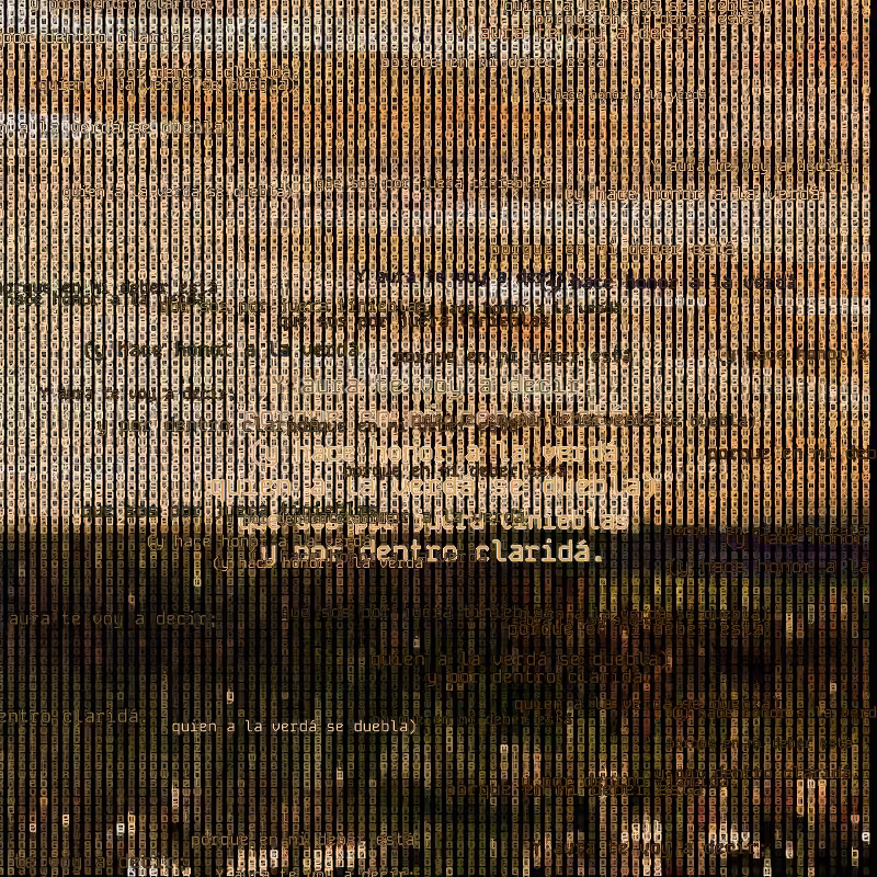 A hacker in the Pampas #71