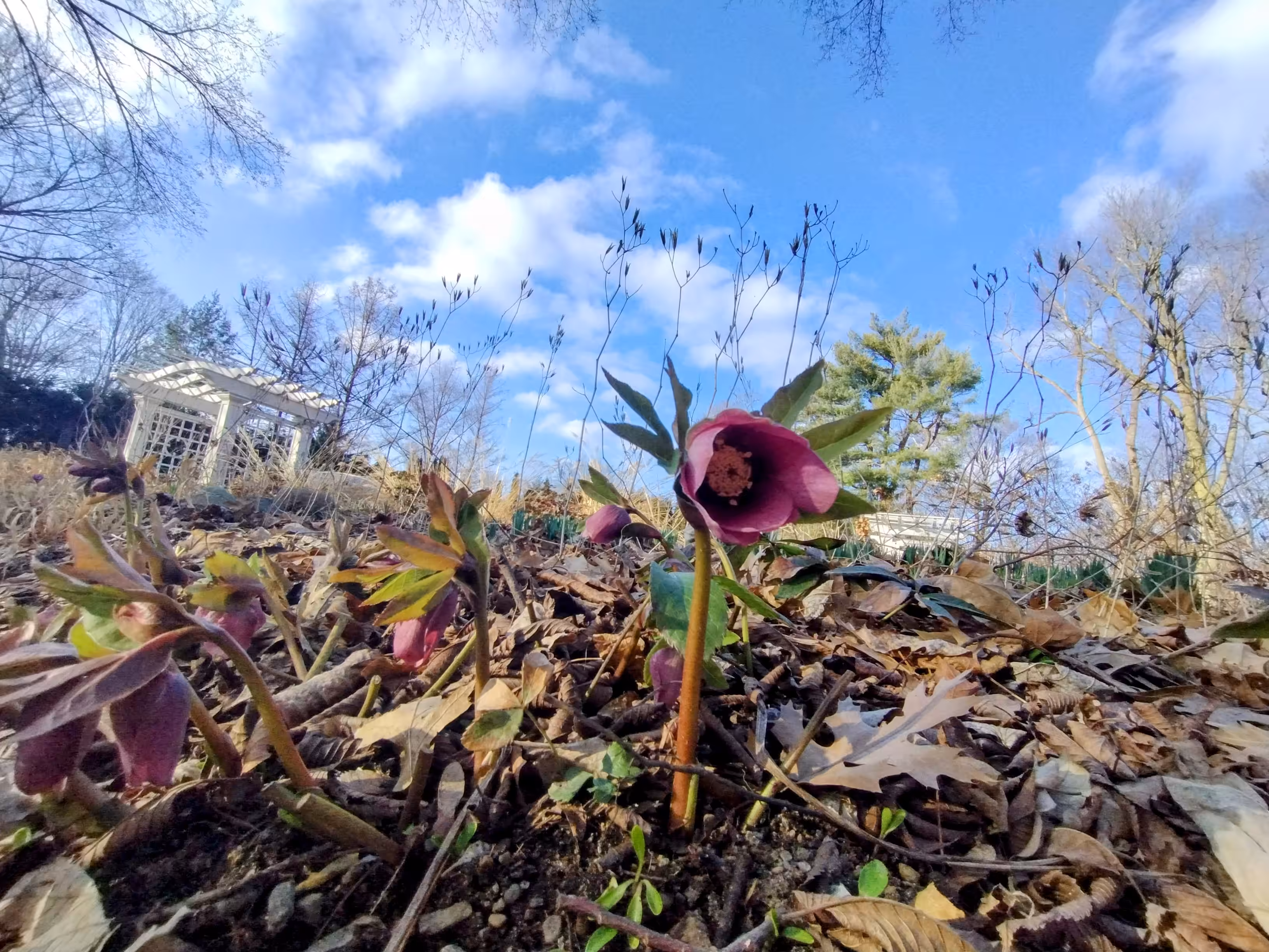 Early signs of life