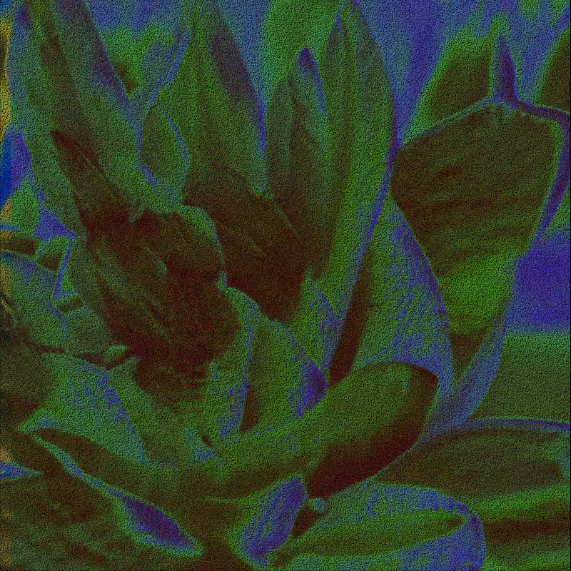 CLDCSMC #77