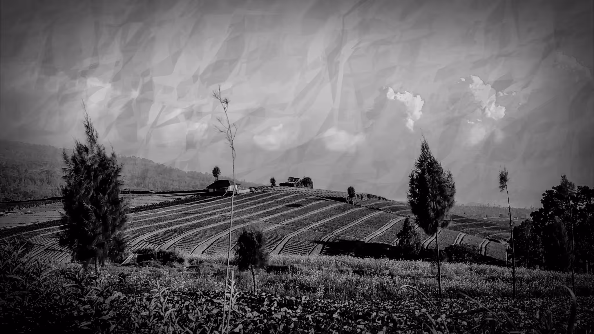 a Bukit Brakseng Landscapes