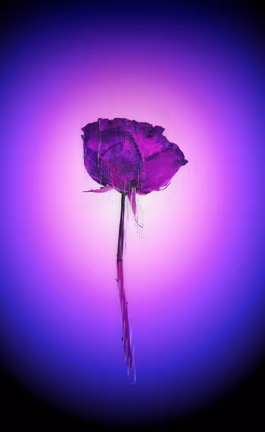 AURA