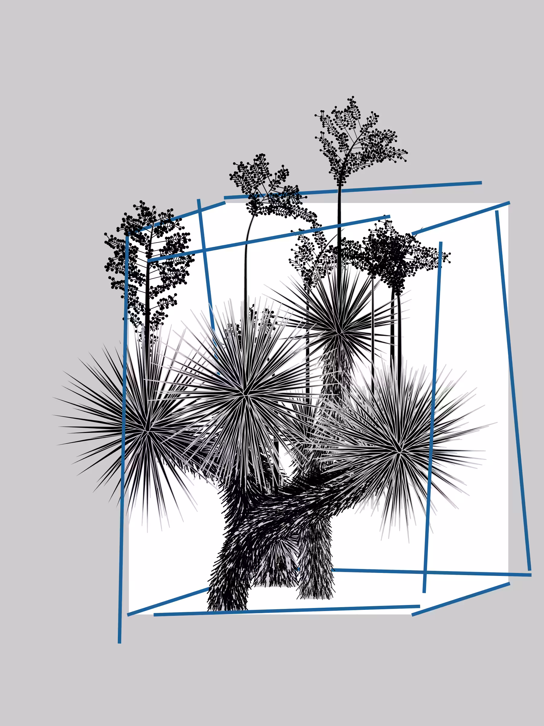 Marfa Yucca #56