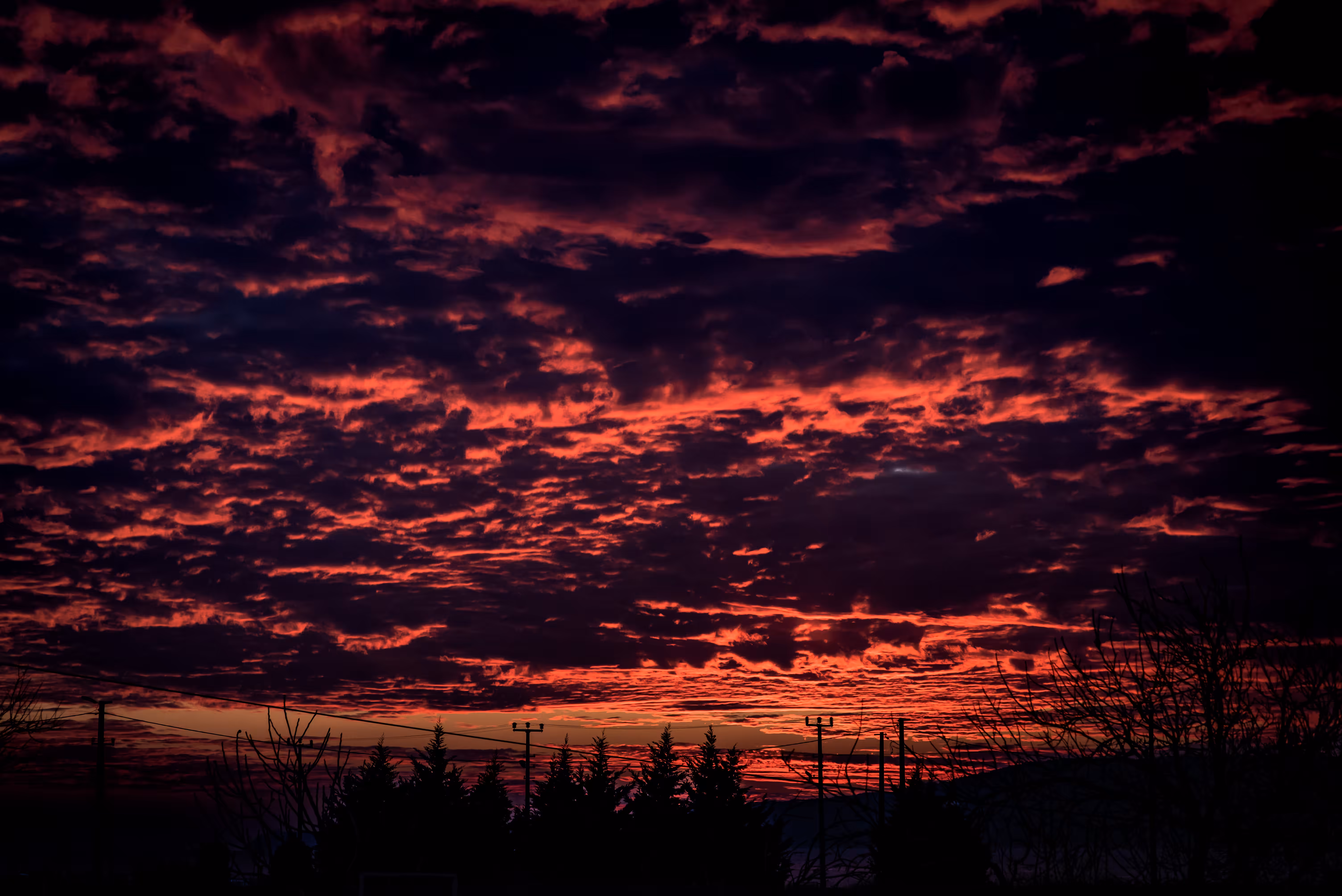 PCGI_photo_1