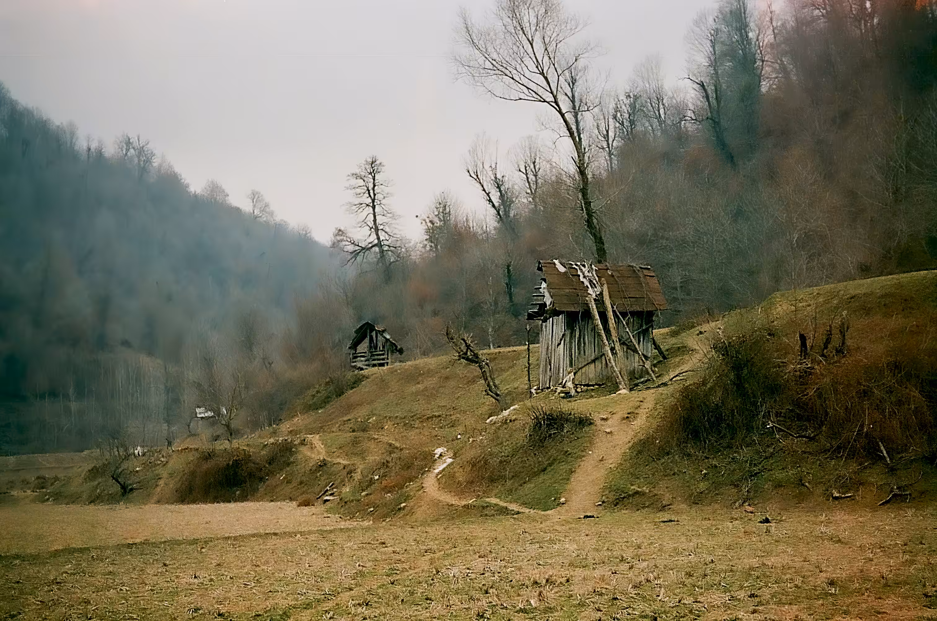 sacrifice no.12