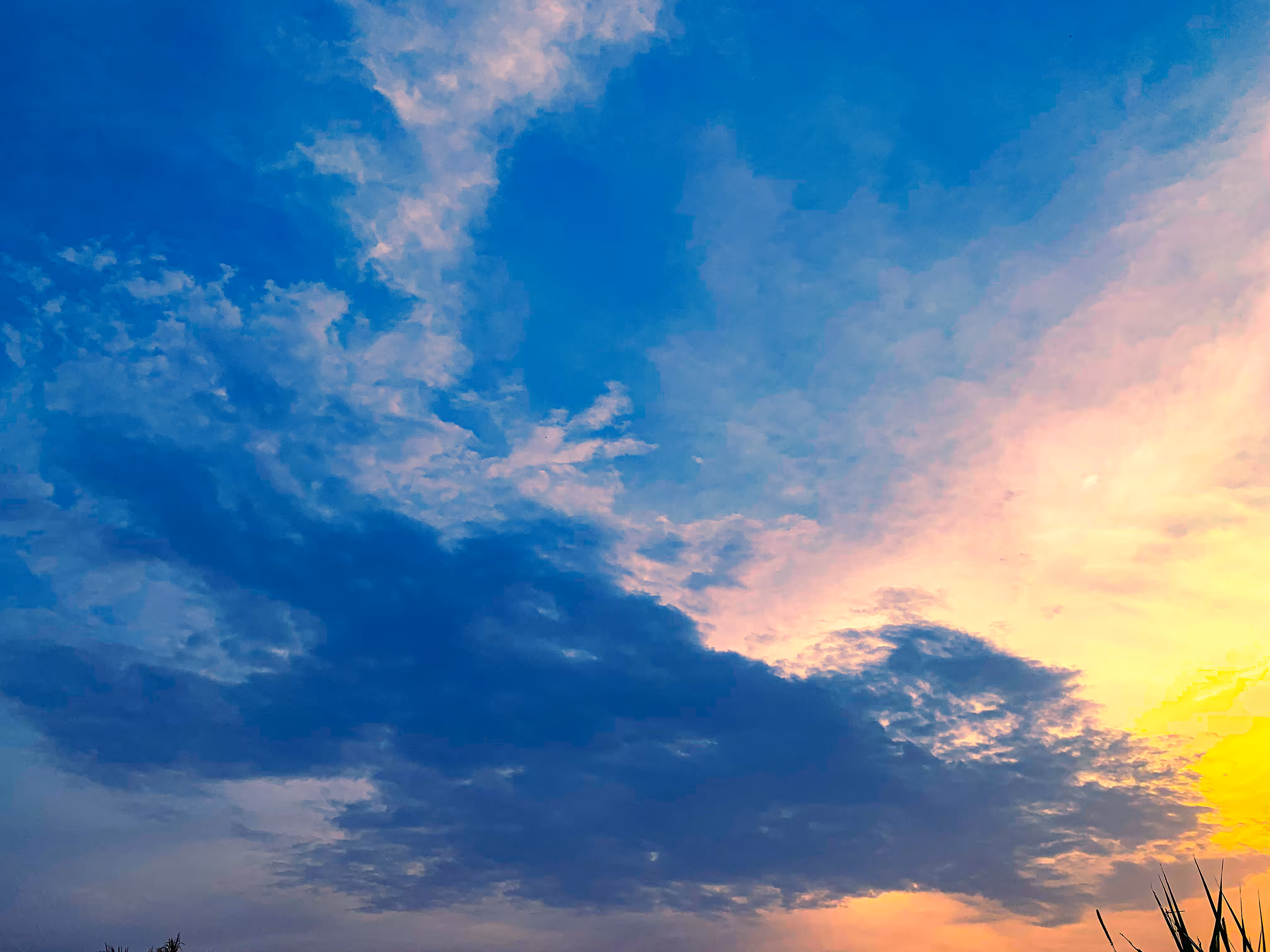 Dreamy Cloud