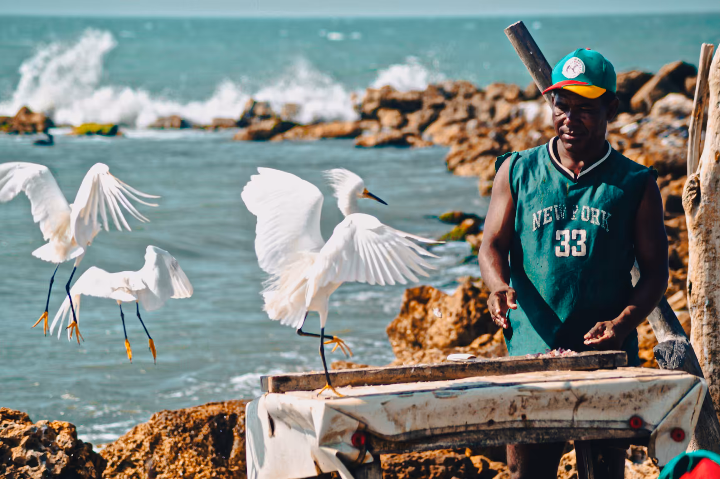 Catch of The Day - Cartagena, Colombia