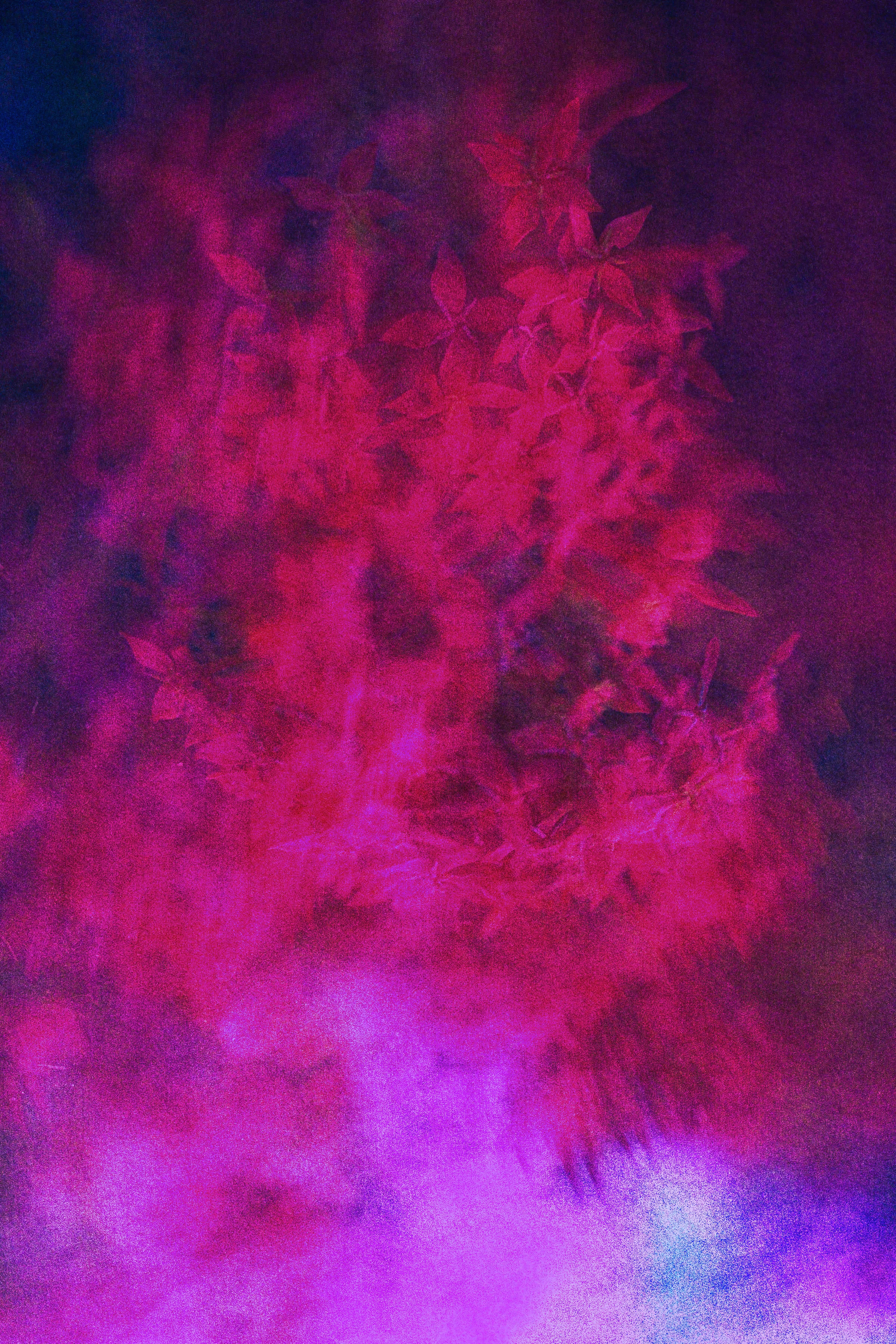 Metaversial #001