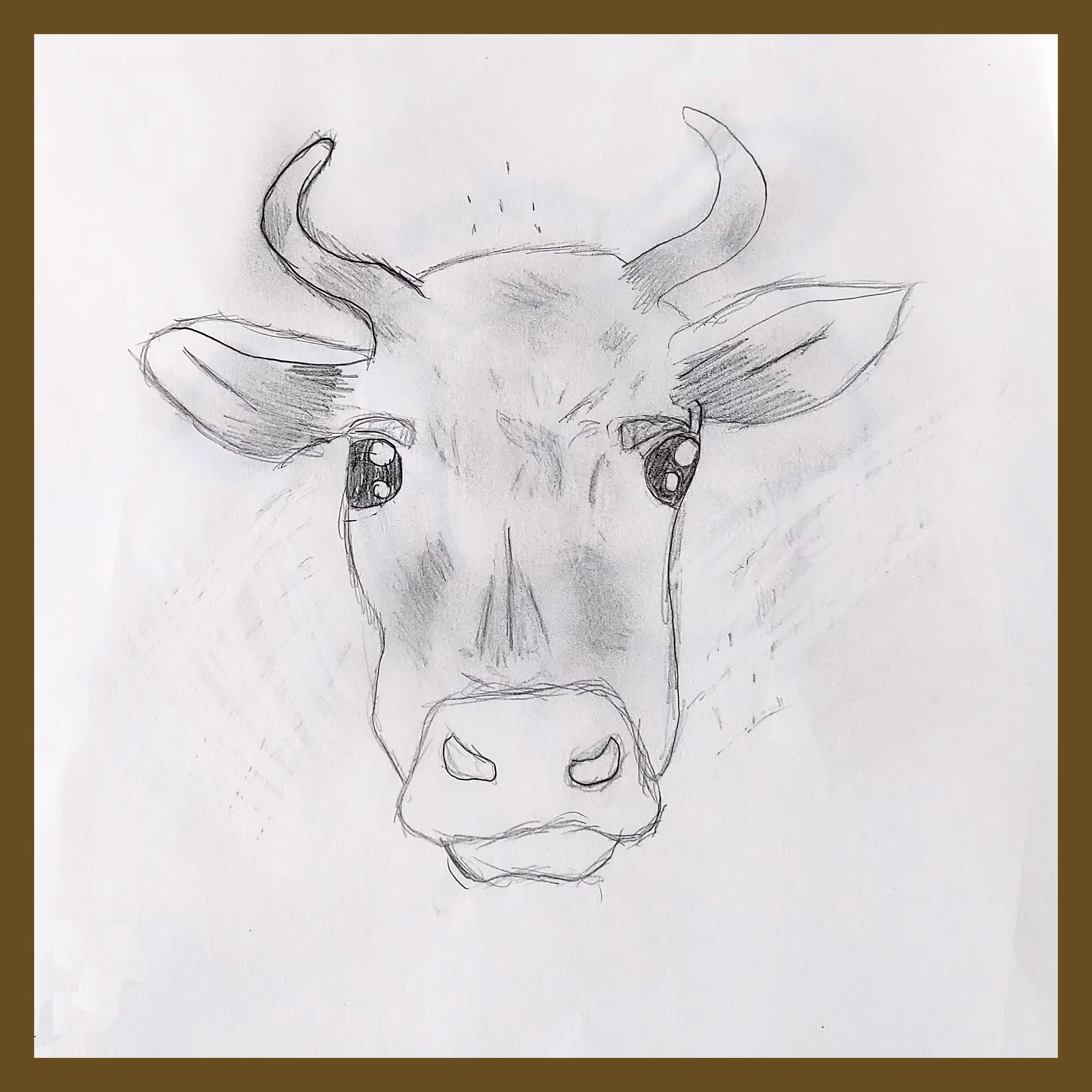 Cows Are Good Friends