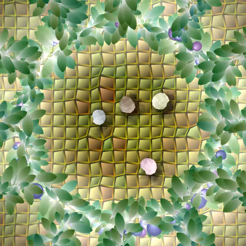 Lithomancy #1