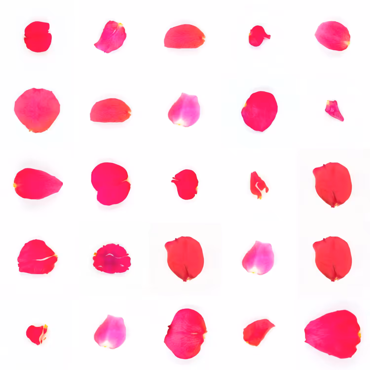 Infinite Petals 5x5#1391