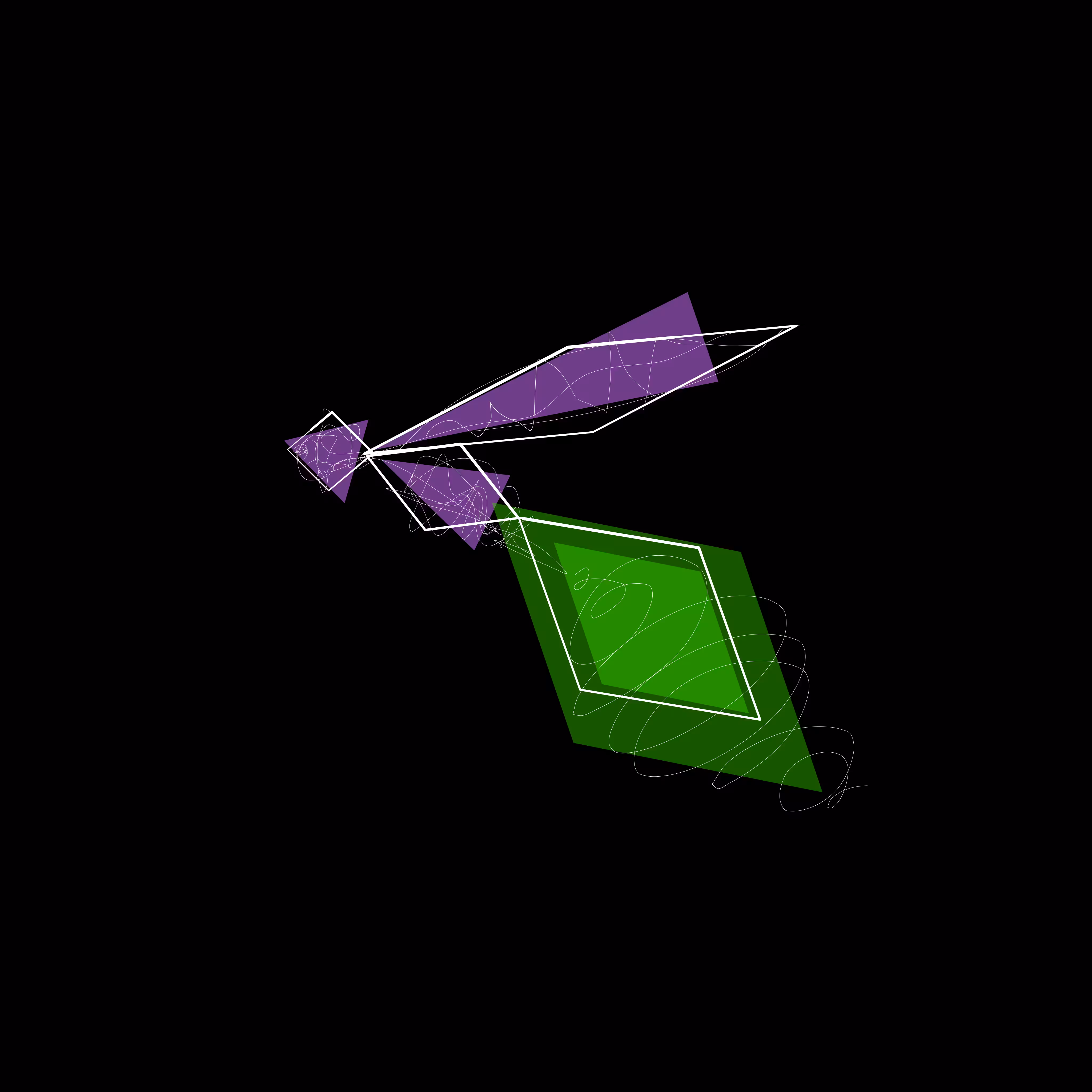 Netw0rk BuG