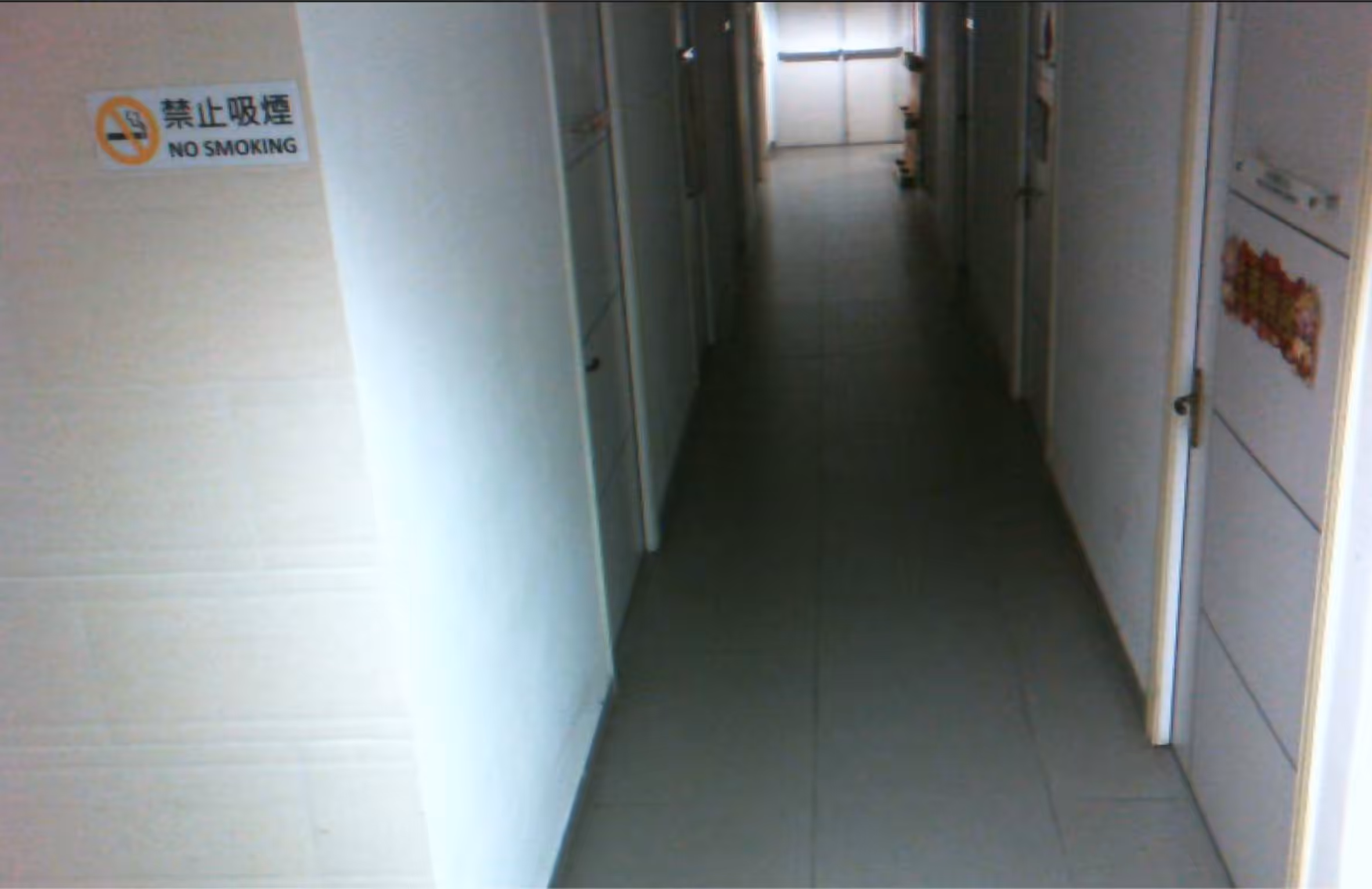 Memory #5