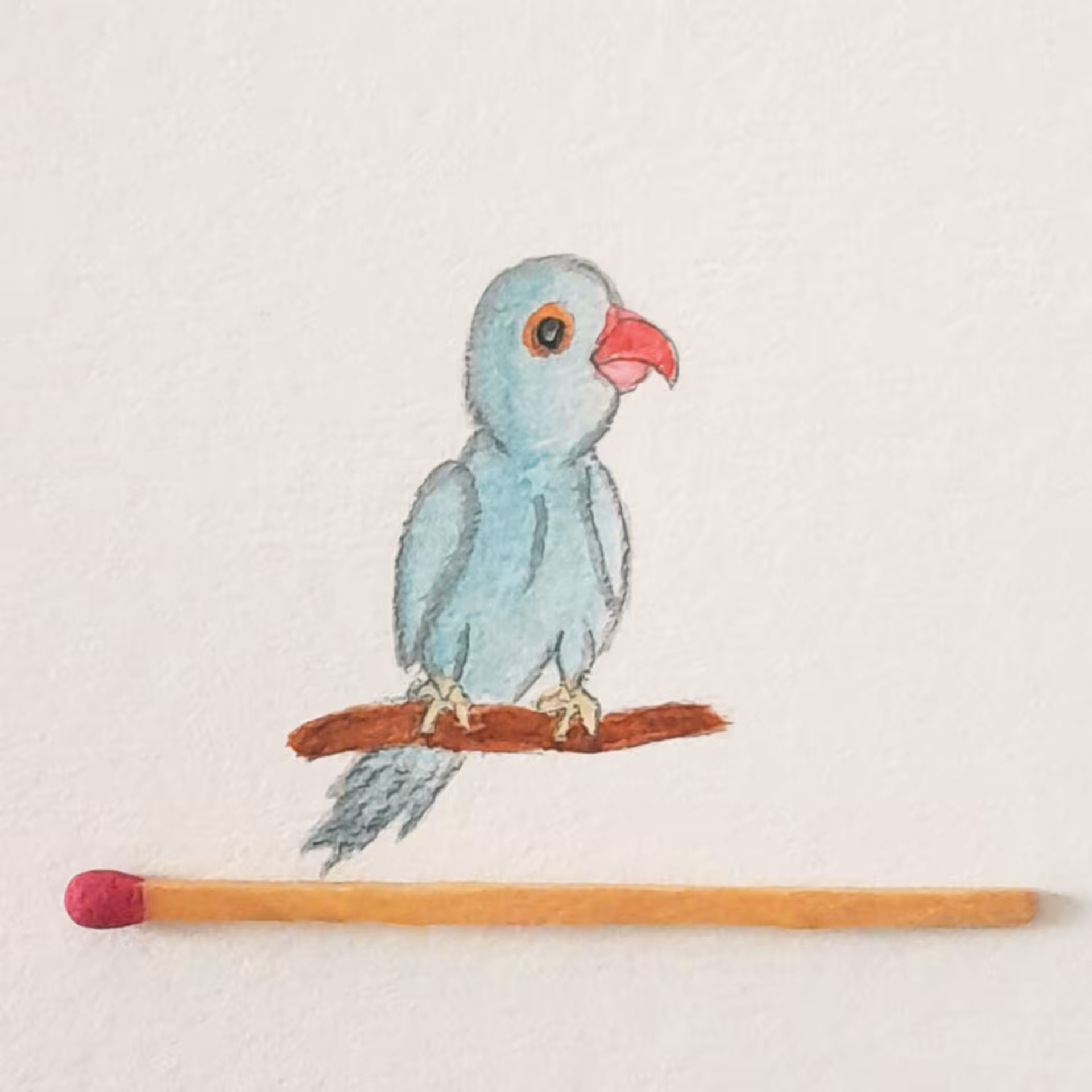 Parrot 3