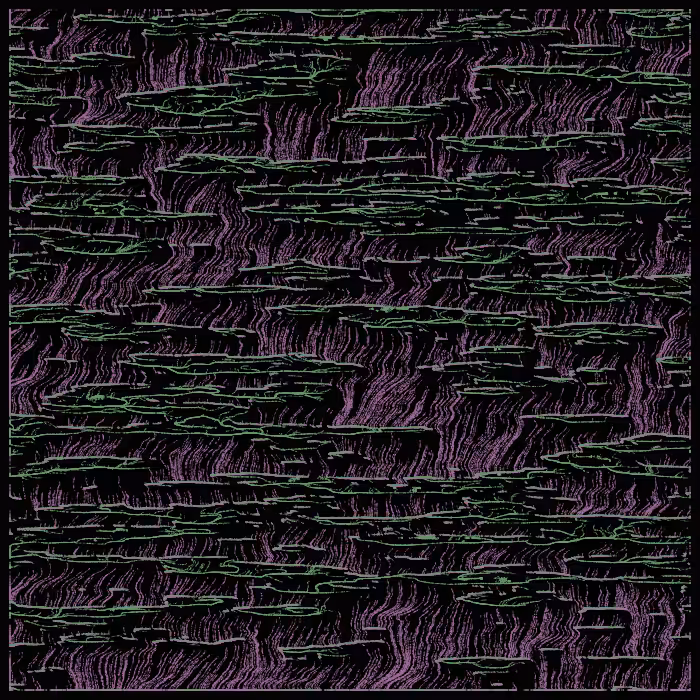 magical swamp #5