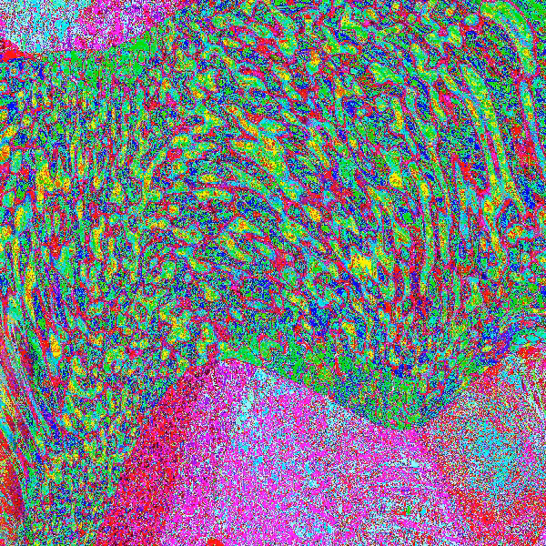 Einstein-Rosen Memories #14