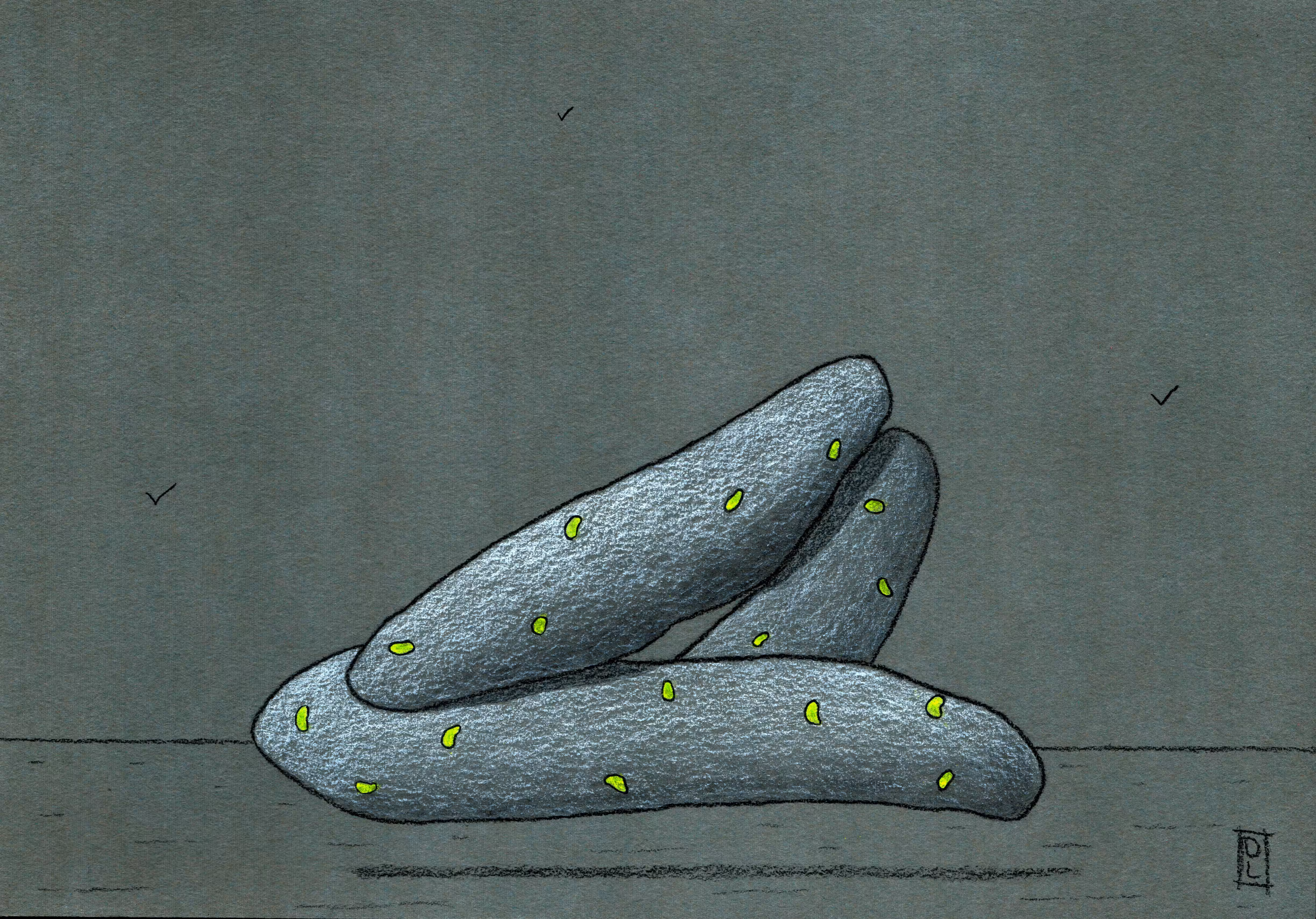 Menhir 17