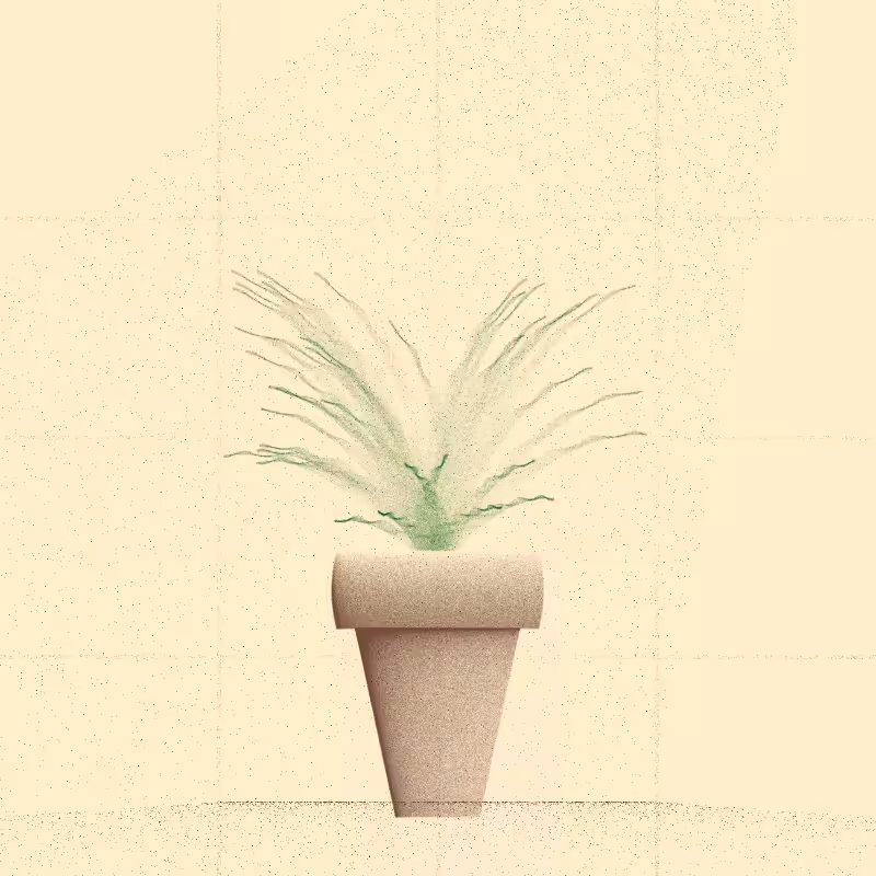 🌱 Potted & Printed #267