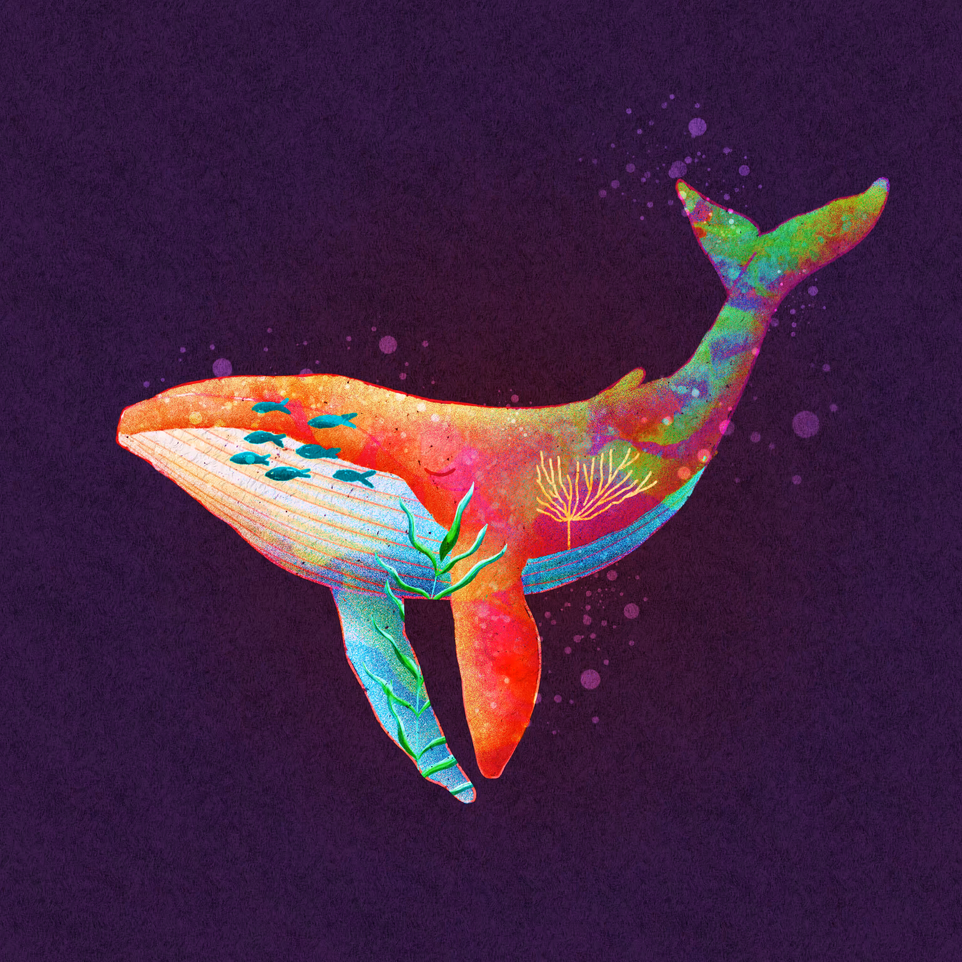 The Whale