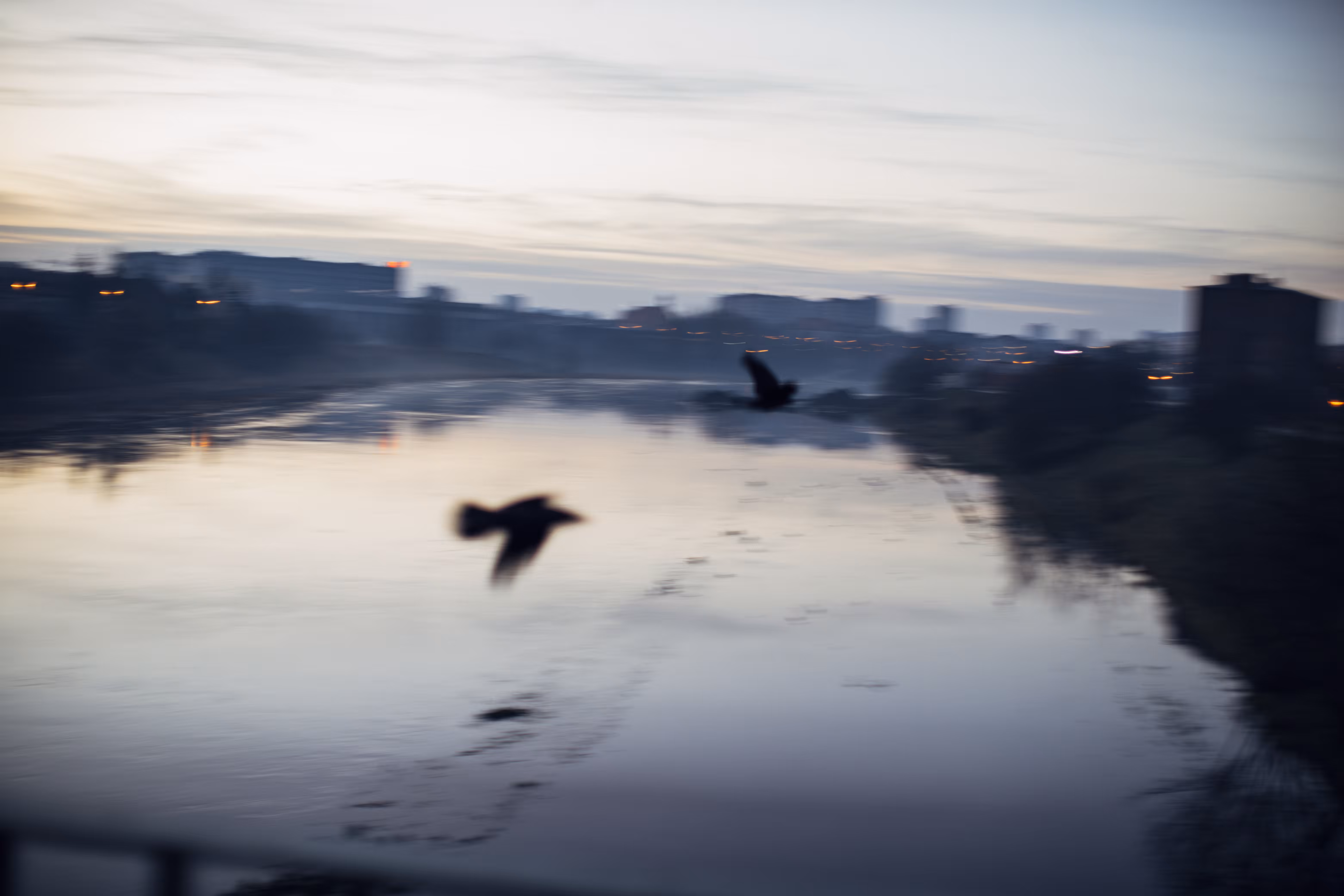 As The Crow Flies