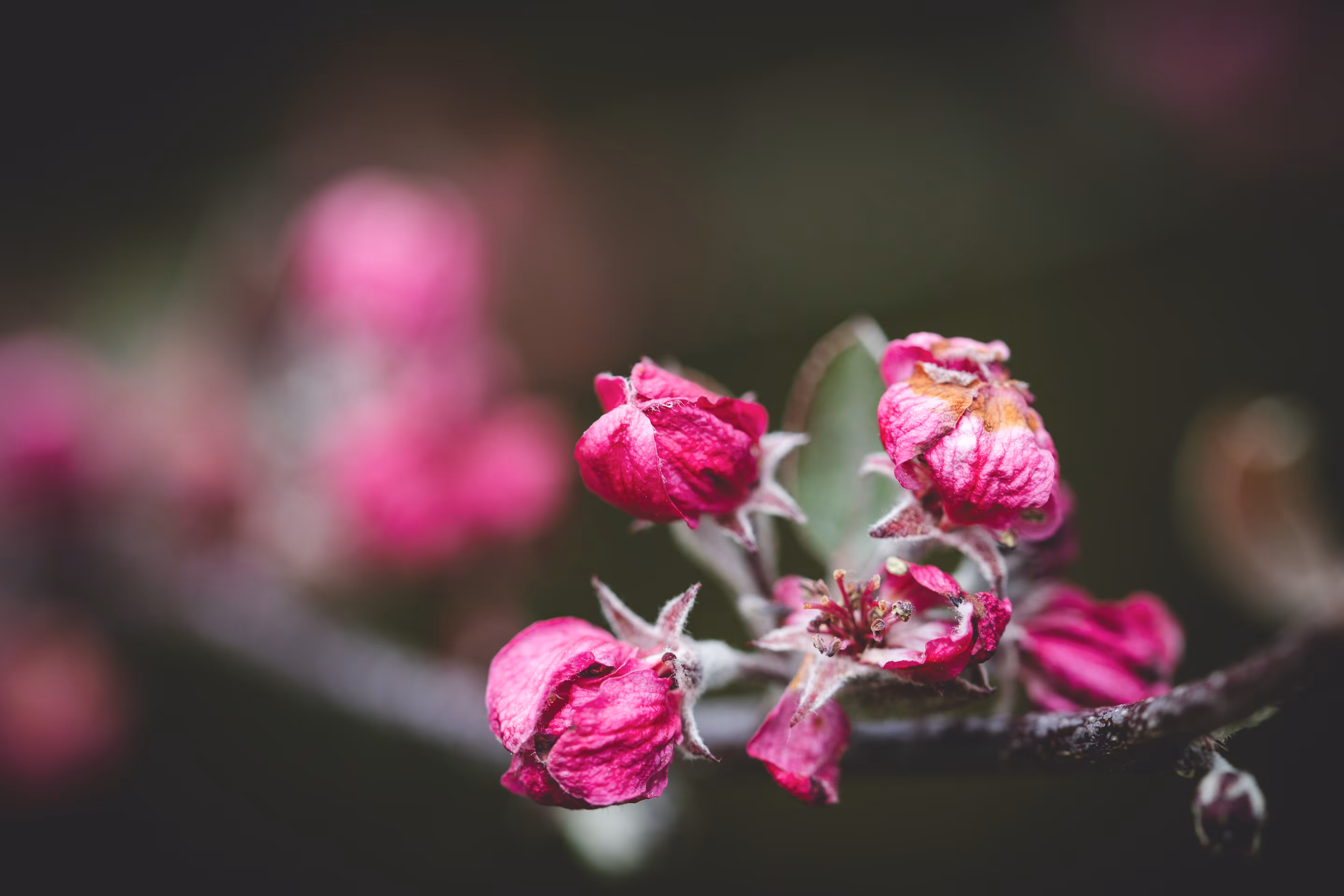 Natural Focus: Part of the Story
