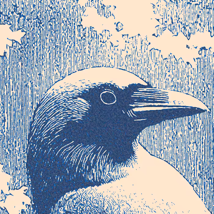 [Concept] Thalassophile : Raven (Norse)