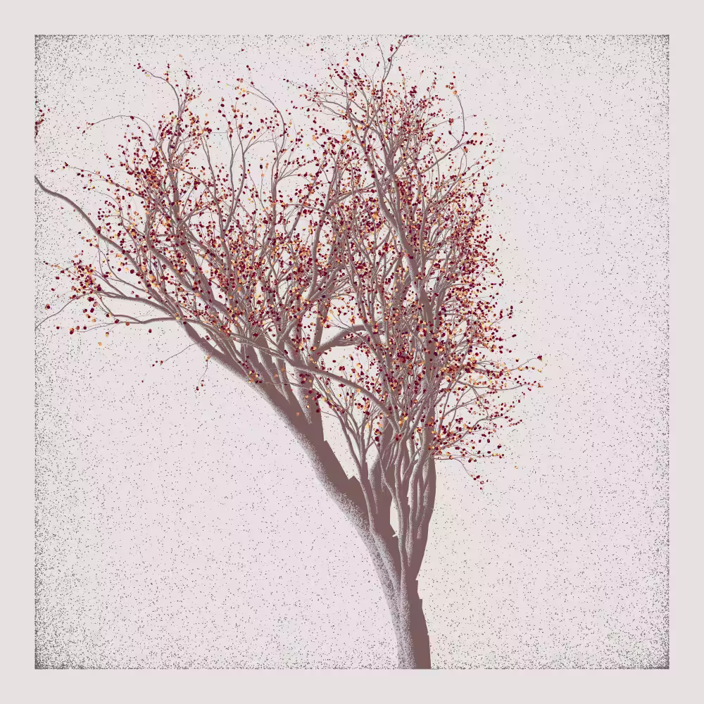 Bougainvillea #171