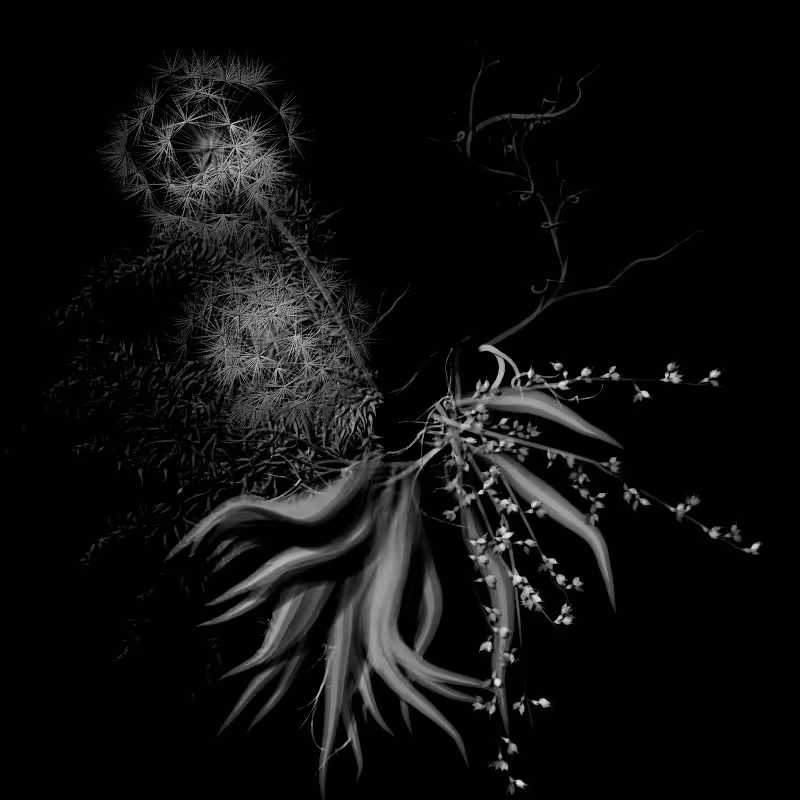 Botanical Ghosts #13