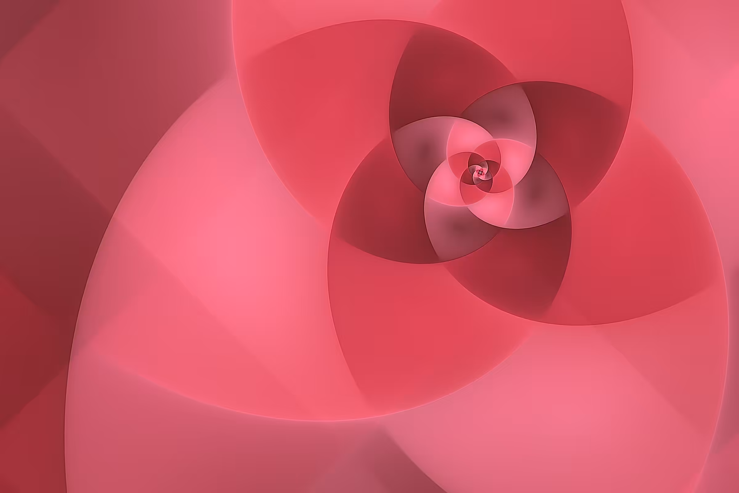 Volute #169
