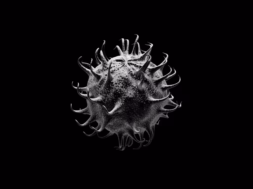Cell Loop 27