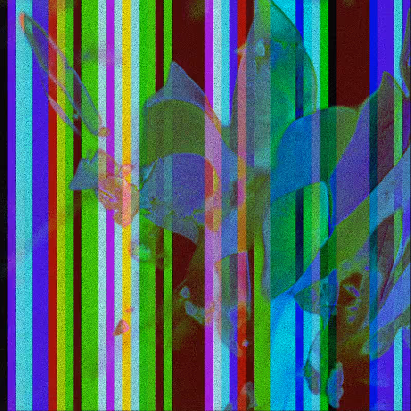 CLDCSMC #46