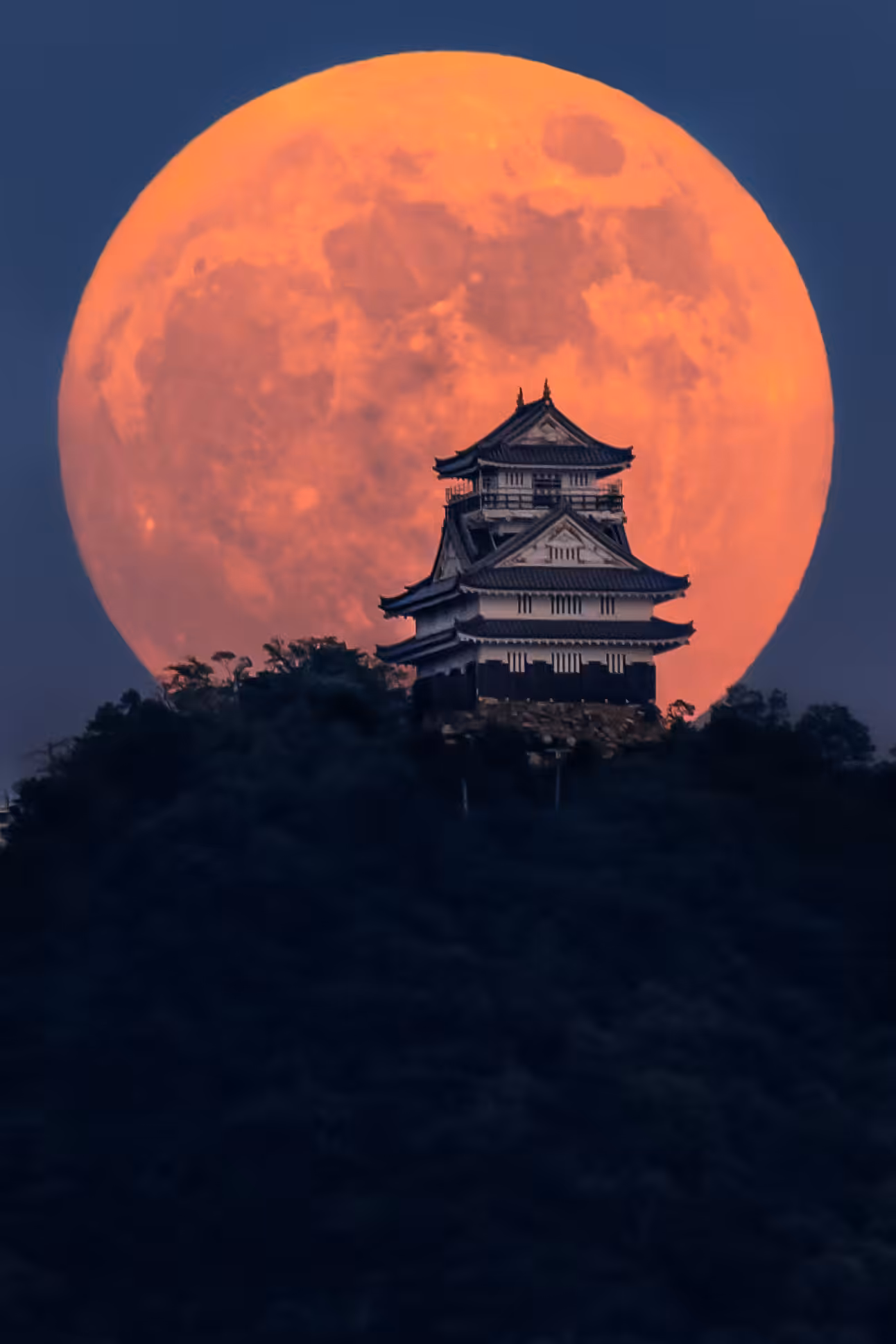 The Moon and Japanese Castles