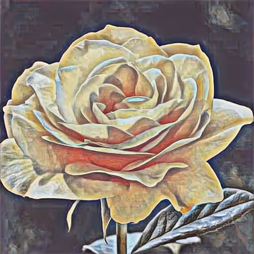 TezRose🌹8629