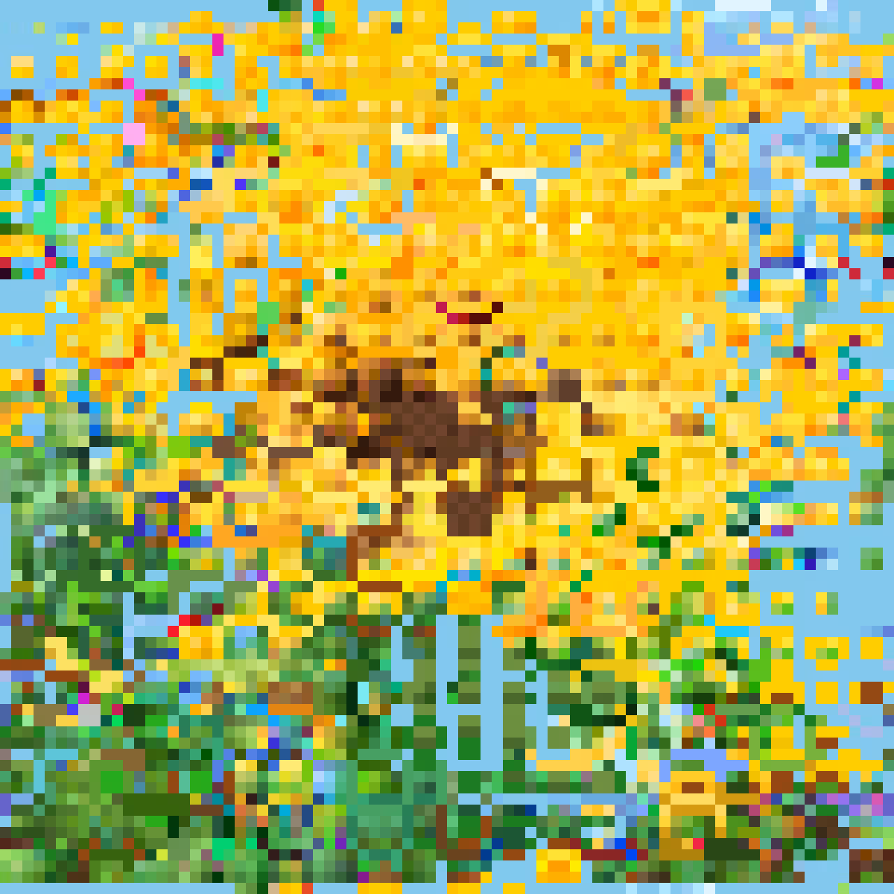 Petals in Pixels — Evolution 10 / 10