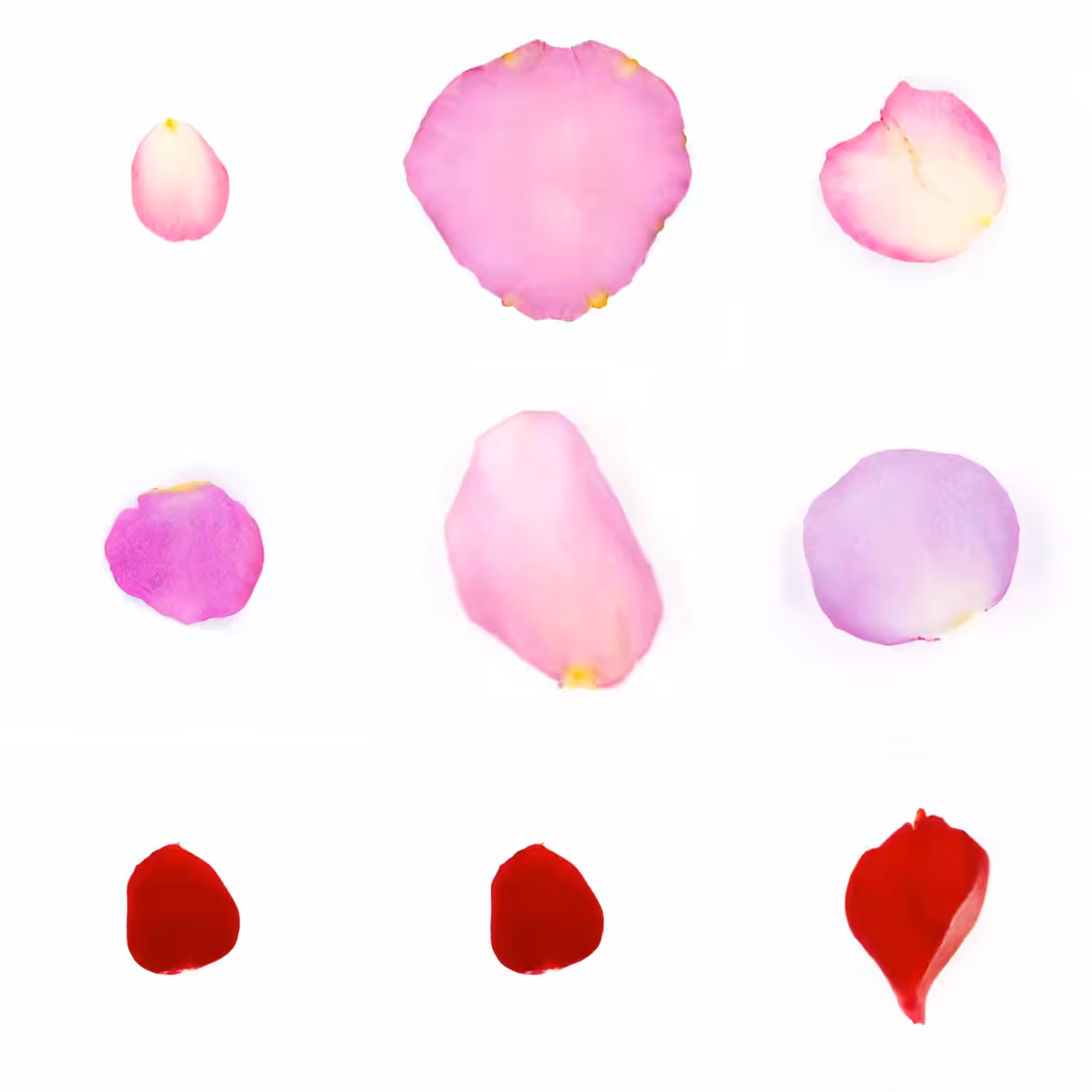 Infinite Petals 3x3#20123