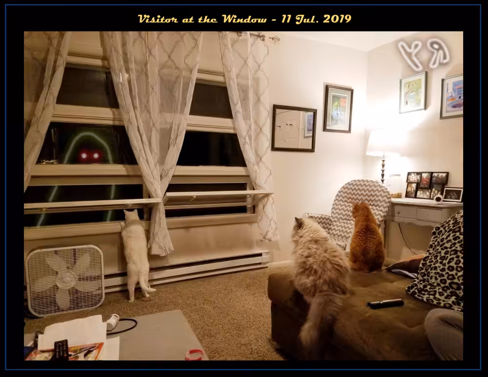 Visitor at the Window
