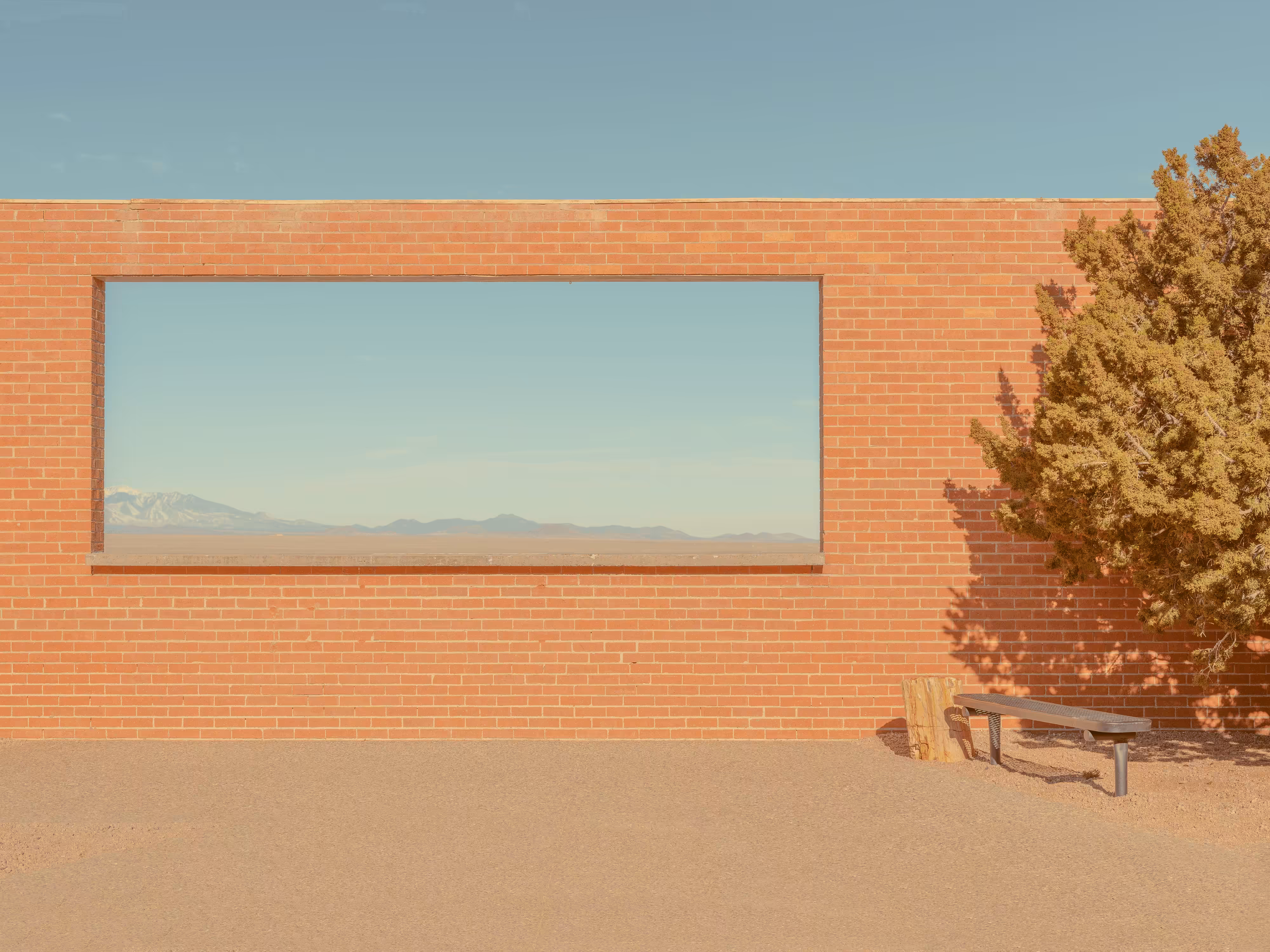Desert Oddities #1