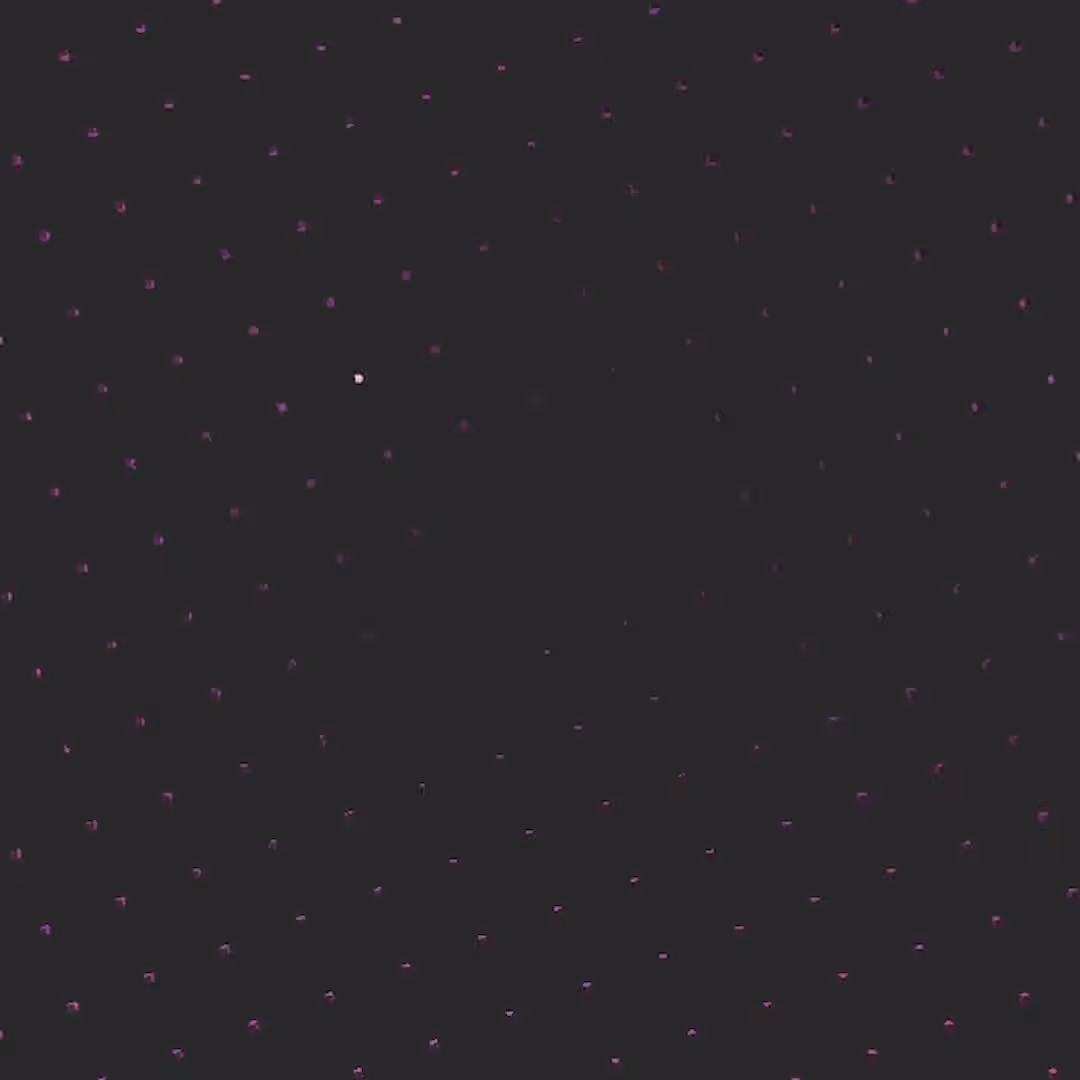discoBox