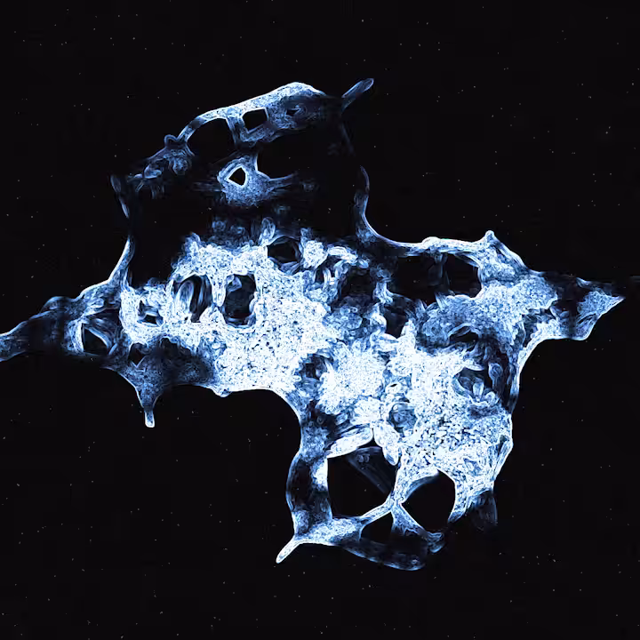 Neuron Network #008