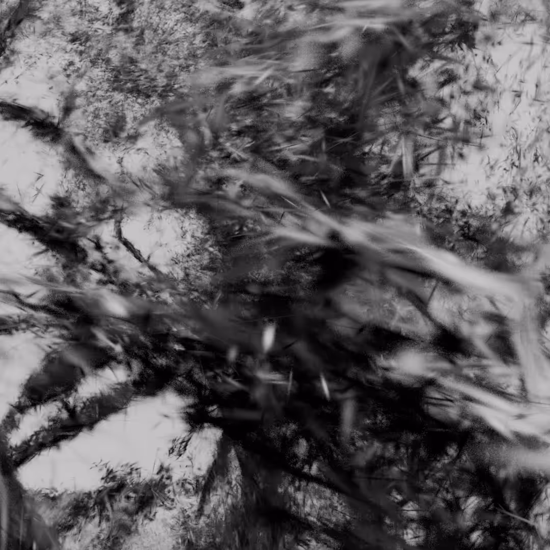 Synthetic Nature 17
