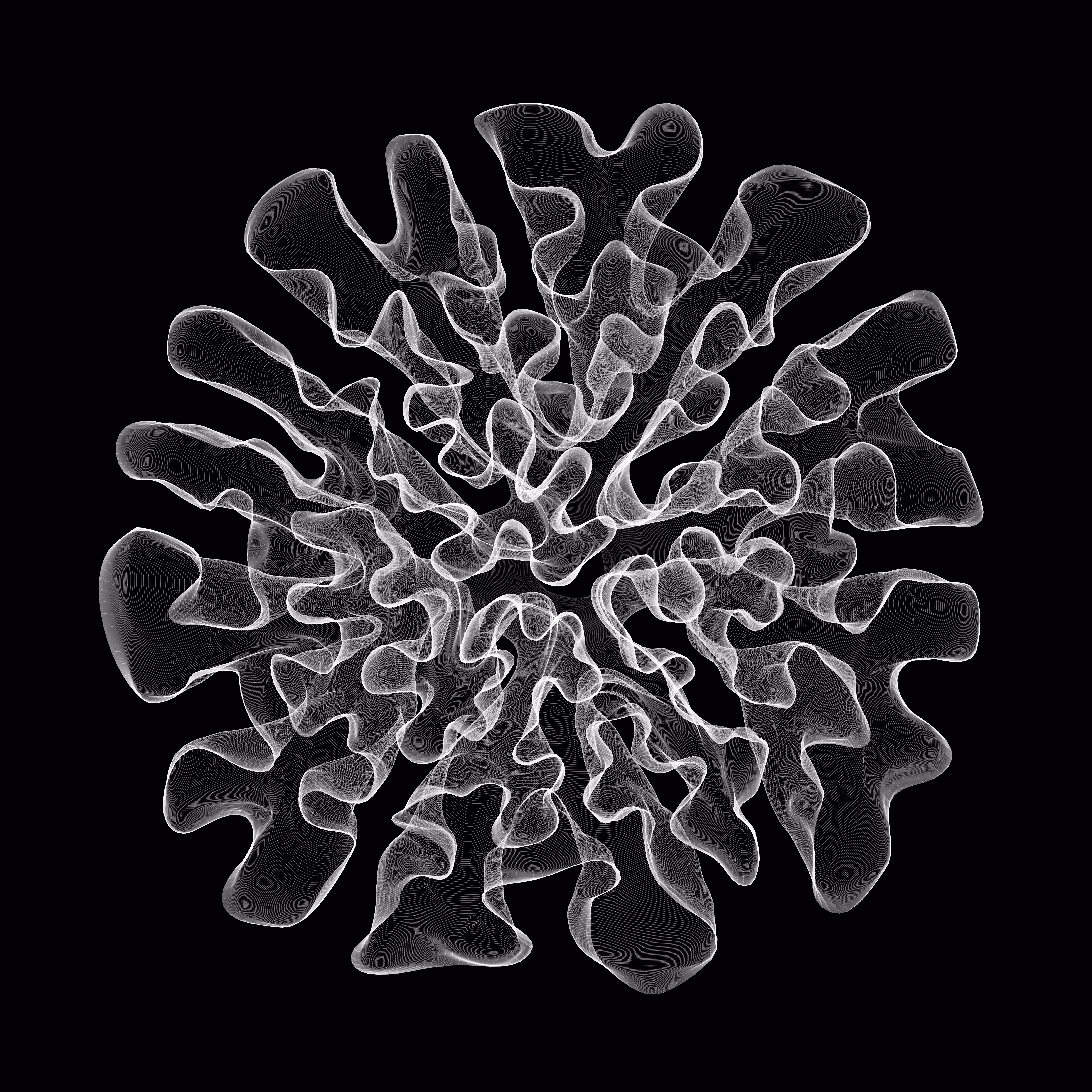 Meditations on Growth