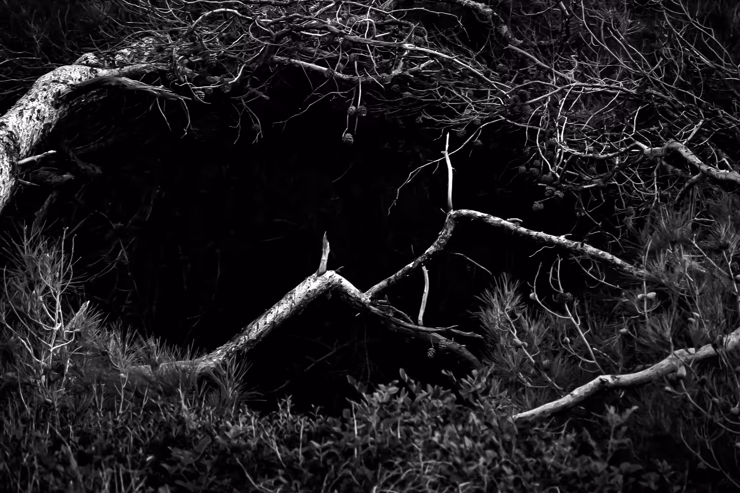 Diary Of Pain: The Cave