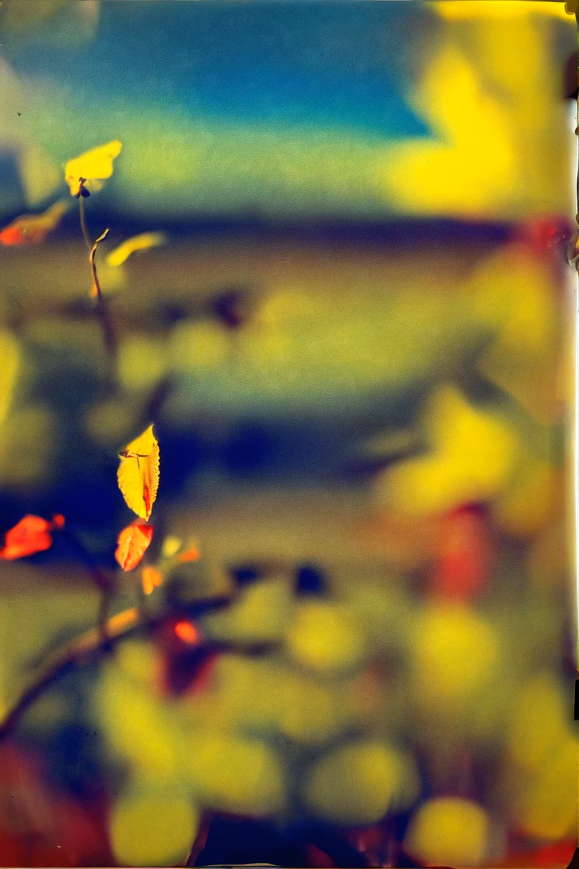Utopia Found #24