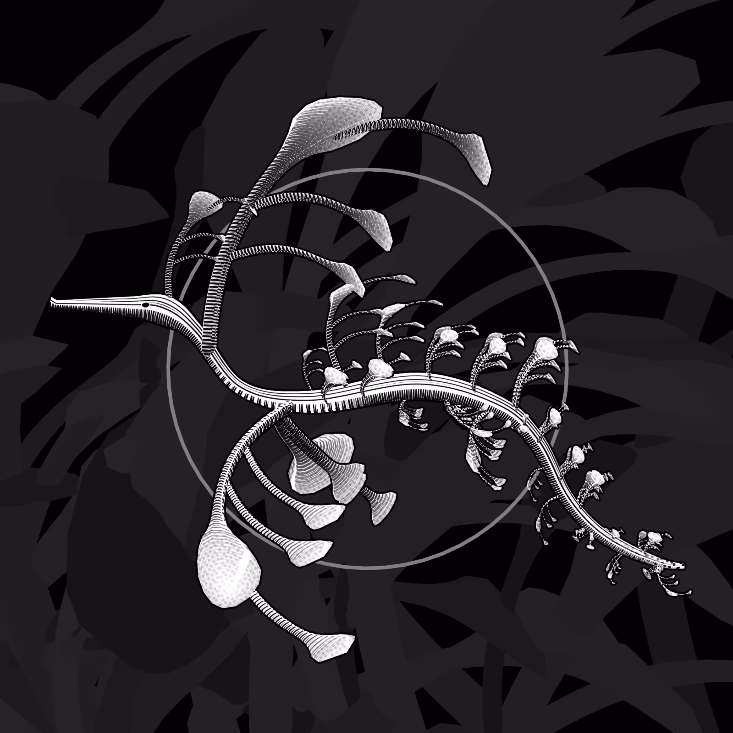 Seadragons #506