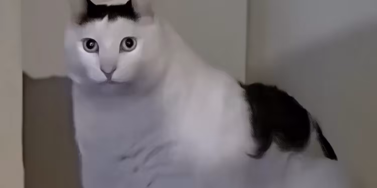 ﾊｧ?