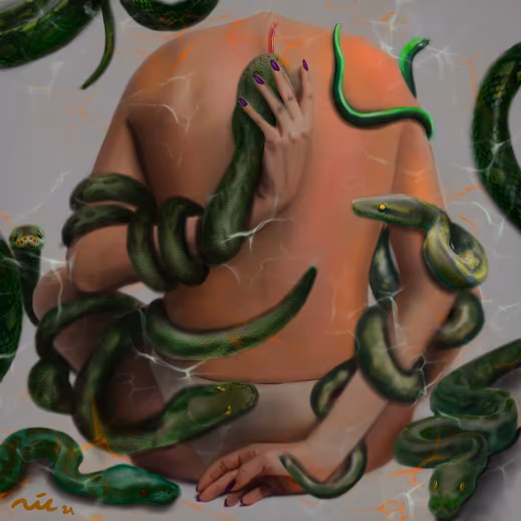amissa sui