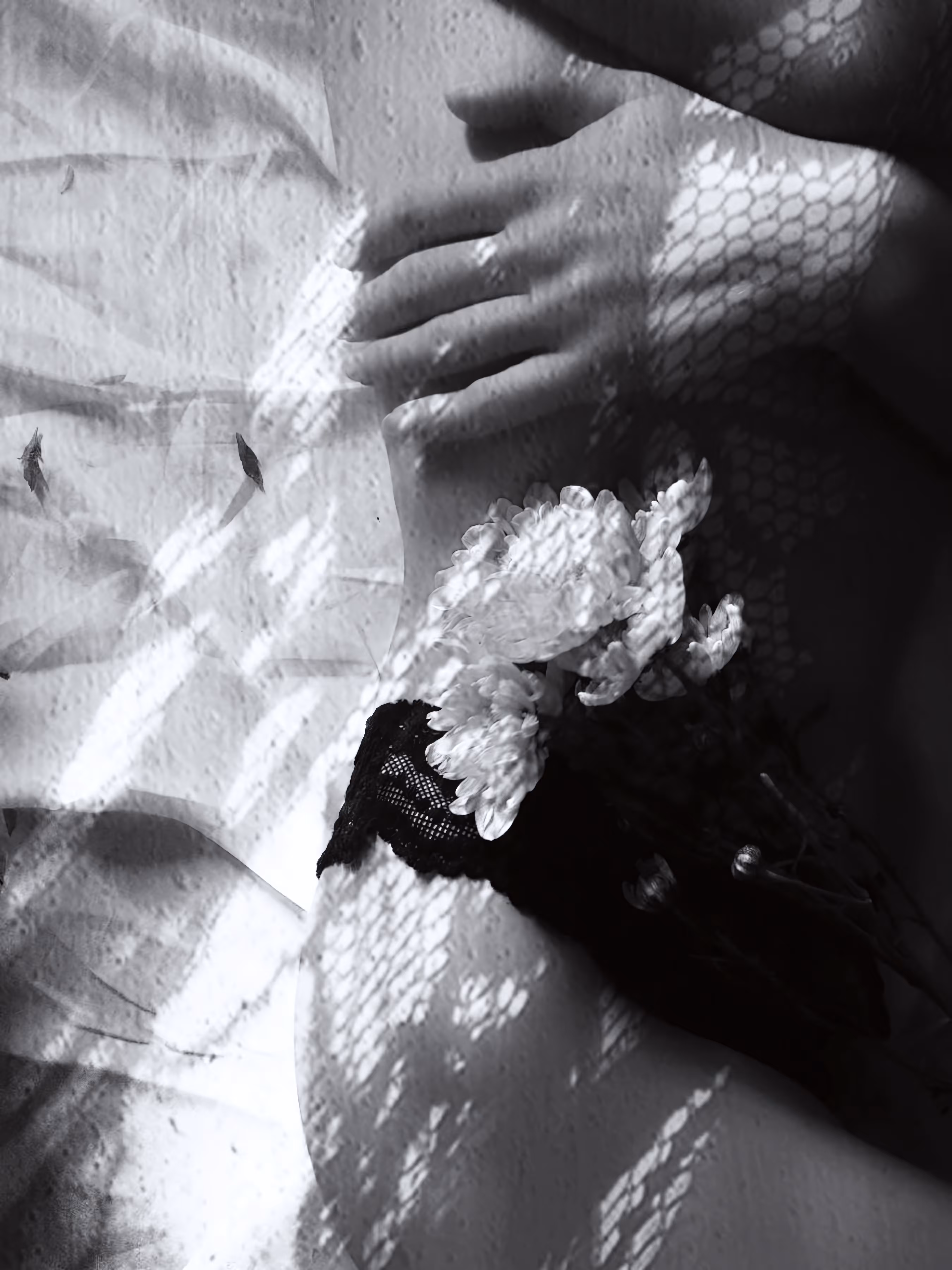 PhotoMania: Morning Caress 